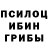 Псилоцибиновые грибы GOLDEN TEACHER Tirtha Dahal