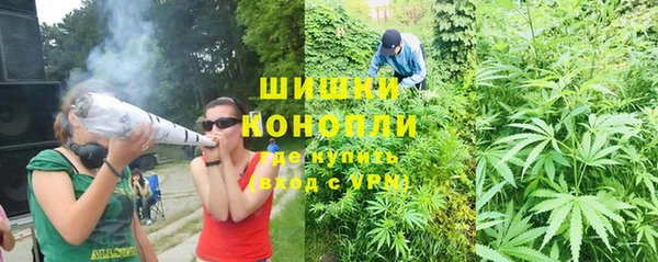 сатива Балахна