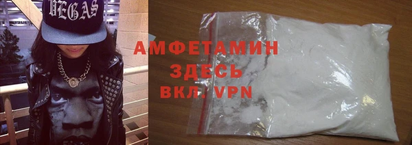 сатива Балахна