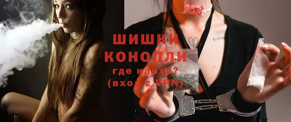 сатива Балахна