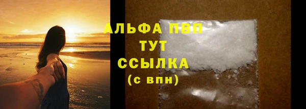 сатива Балахна