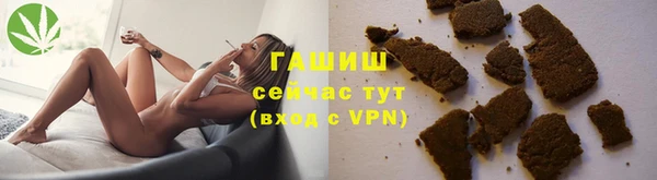 сатива Балахна