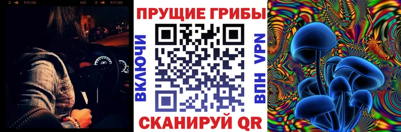 где можно купить   Всеволожск  Псилоцибиновые грибы Cubensis 