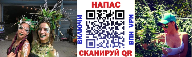 Бошки Шишки OG Kush купить закладку Всеволожск